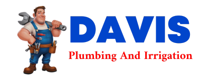 Trusted plumber in ARCADE